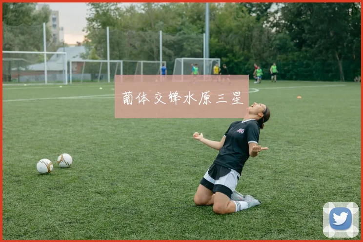 葡体交锋水原三星