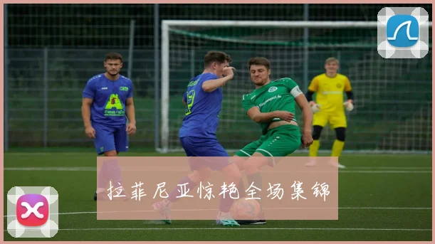 拉菲尼亚惊艳全场集锦