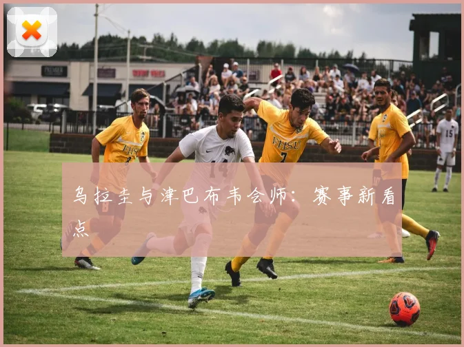 乌拉圭与津巴布韦会师:赛事新看点
