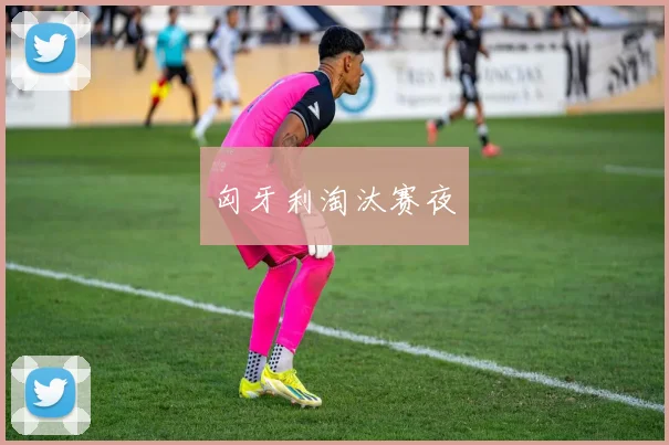 匈牙利淘汰赛夜