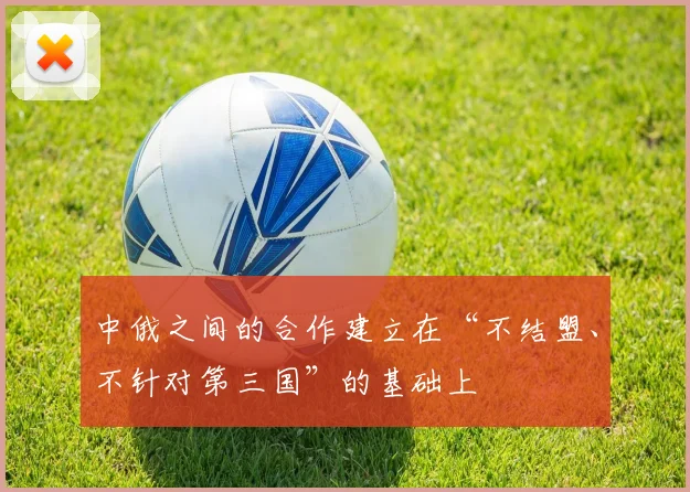 中俄之间的合作建立在“不结盟、不针对第三国”的基础上