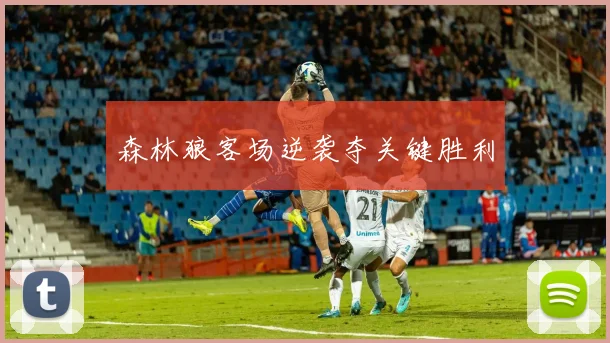 森林狼客场逆袭夺关键胜利