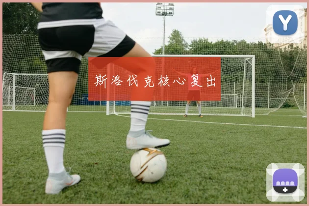 斯洛伐克核心复出