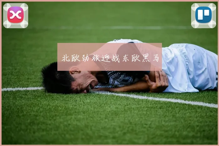 北欧劲旅迎战东欧黑马