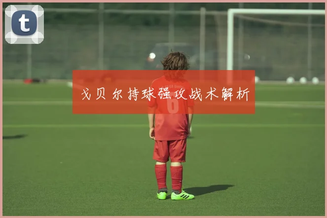 戈贝尔持球强攻战术解析