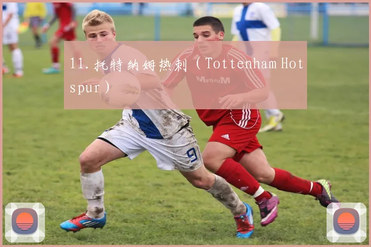 11.托特纳姆热刺（Tottenham Hotspur）