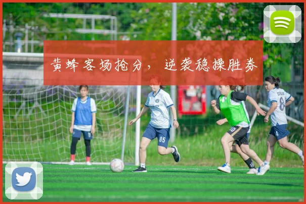 黄蜂客场抢分,逆袭稳操胜券