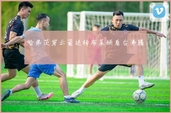 哈弗茨穿云箭逆转布莱顿看台沸腾