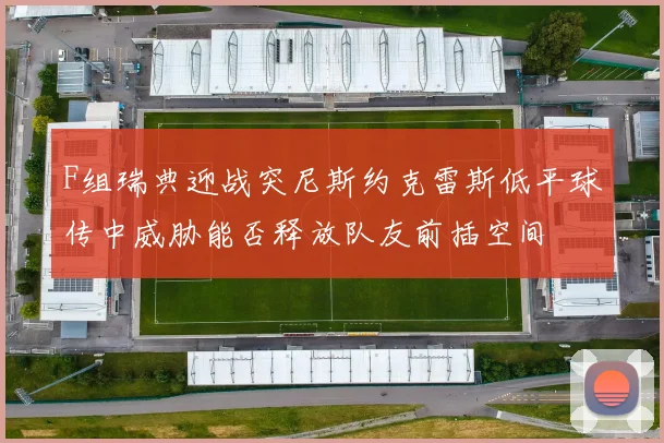 F组瑞典迎战突尼斯约克雷斯低平球传中威胁能否释放队友前插空间