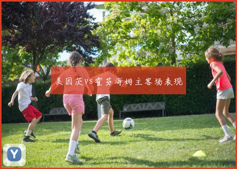 美因茨vs霍芬海姆主客场表现