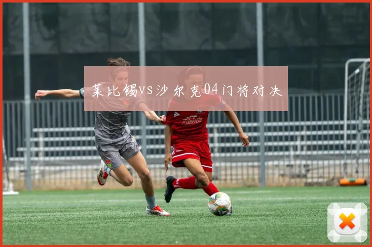 莱比锡vs沙尔克04门将对决