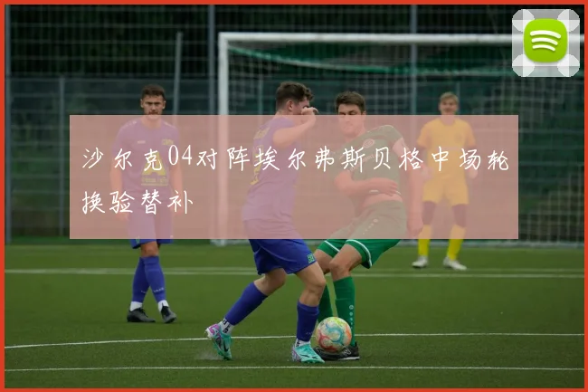 沙尔克04对阵埃尔弗斯贝格中场轮换验替补