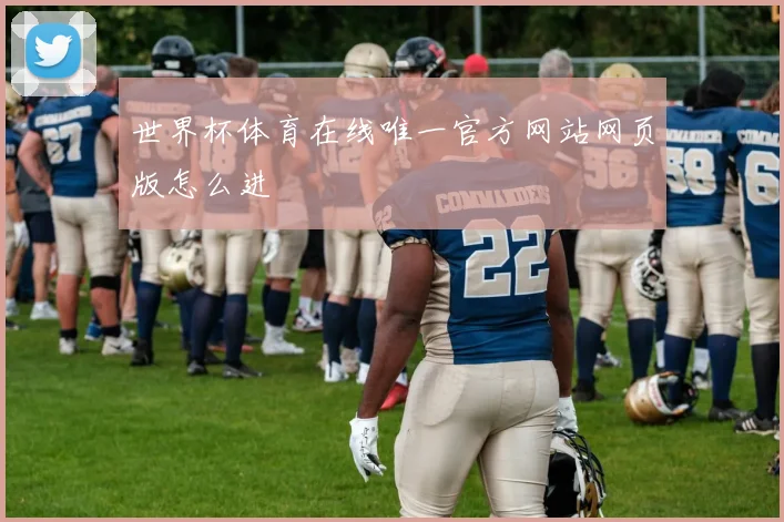 世界杯体育在线唯一官方网站网页版怎么进