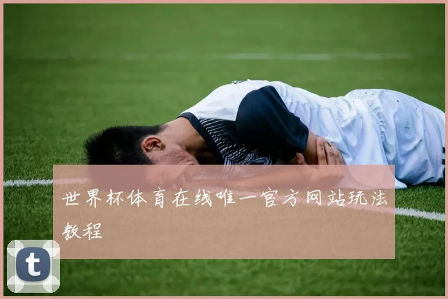 世界杯体育在线唯一官方网站玩法教程